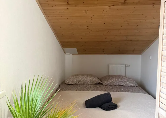Vakantiehuis Relax Dum S Koupacim Sudem A Grilem Plzen
